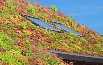 Upper Diabaig living roof systems