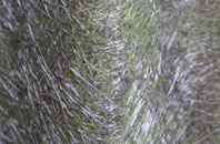 Upper Diabaig fibreglass roof work